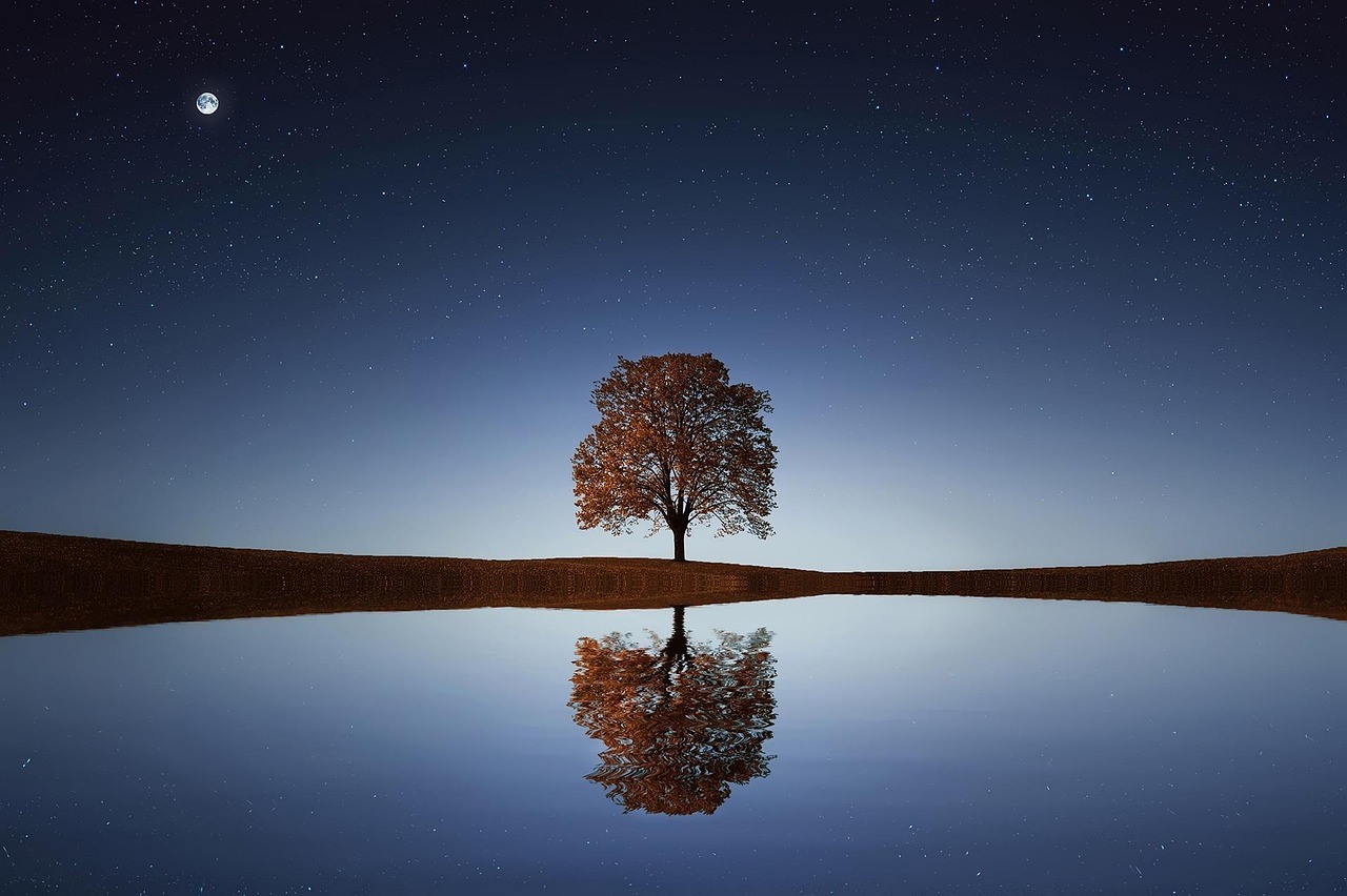 A solitary autumn-colored tree and a small moon stand beneath a starry sky, mirrored in extremely calm water.